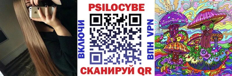 Галлюциногенные грибы Psilocybe Бабушкин